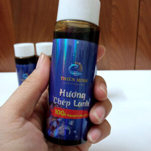 huong chep lanh thien minh 3