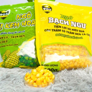 Ngo u 2 1